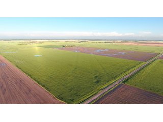 Tract 2 - Reno County, KS farmland - LAND AUCTION - 647+/- ACRES OFFERED IN 4 TRACTS IN RENO & EDWARDS COUNTY, KANSAS